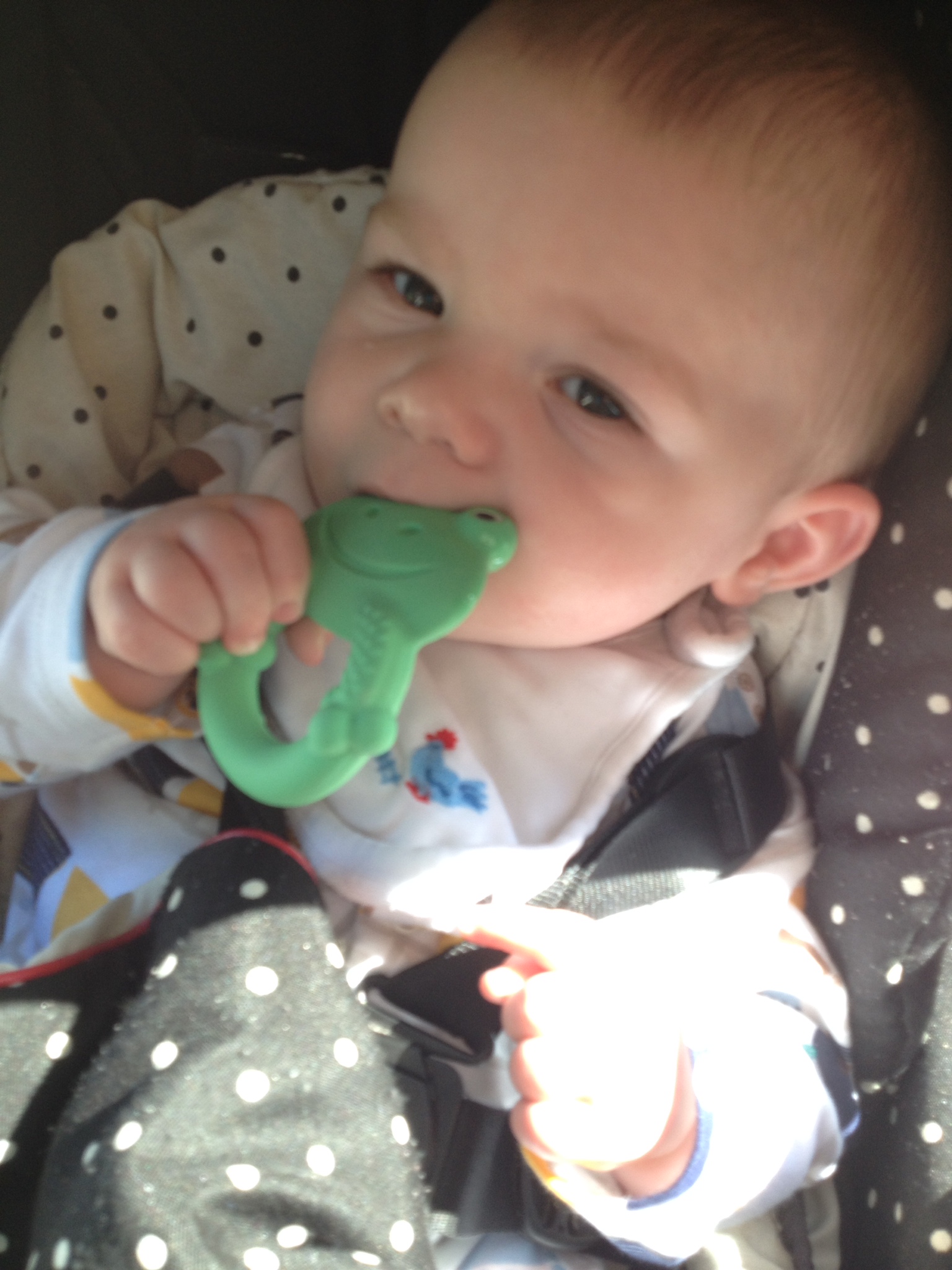 Teething made easier with MAM’s Max the Frog