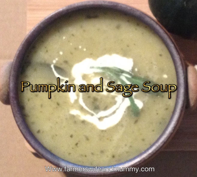 Pumpkin and Sage Soup