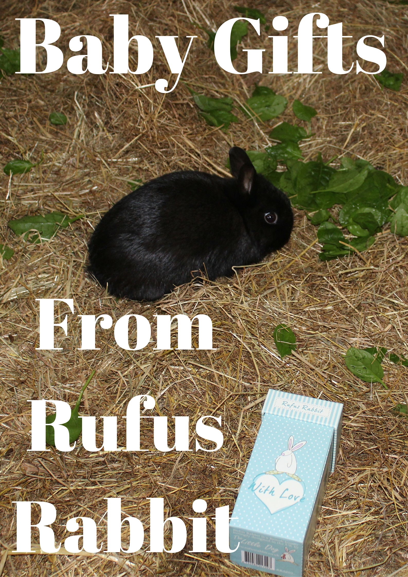 Newborn and Baby Gifts from Rufus Rabbit