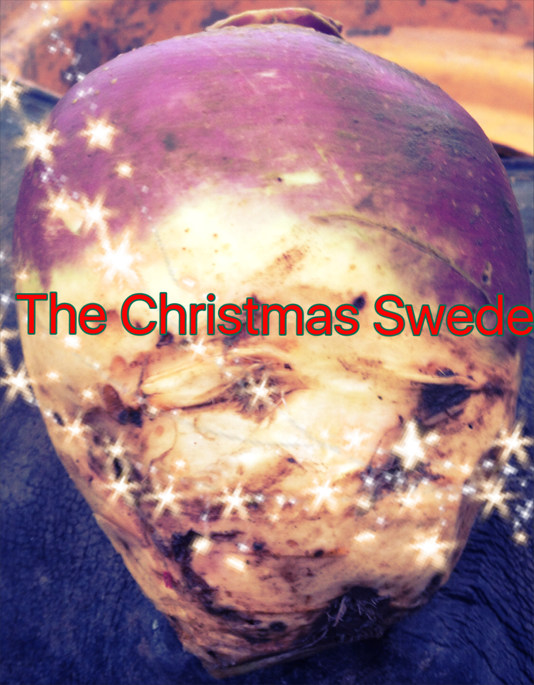 The Christmas Swede-A Tale of Farming and Thankfulness