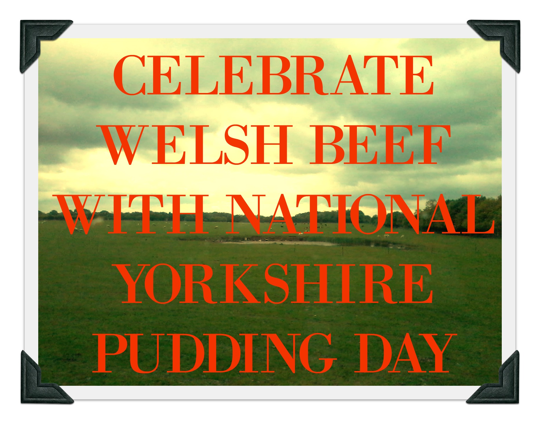 Celebrate Welsh Beef with National Yorkshire Pudding Day