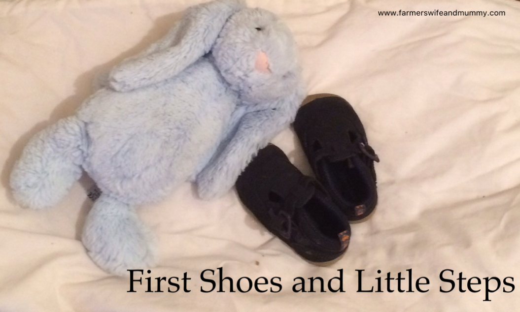 First Shoes and Little Steps