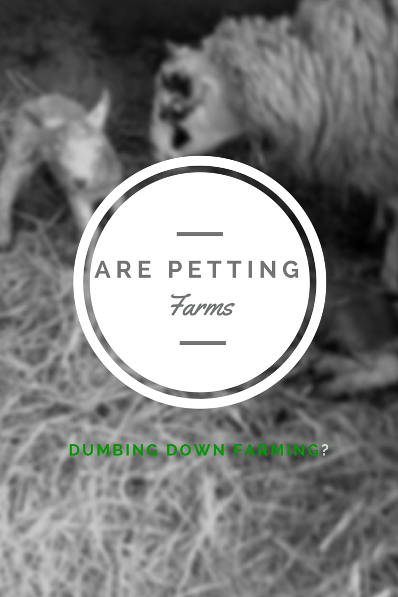 Are petting farms dumbing down the public’s view of farming?