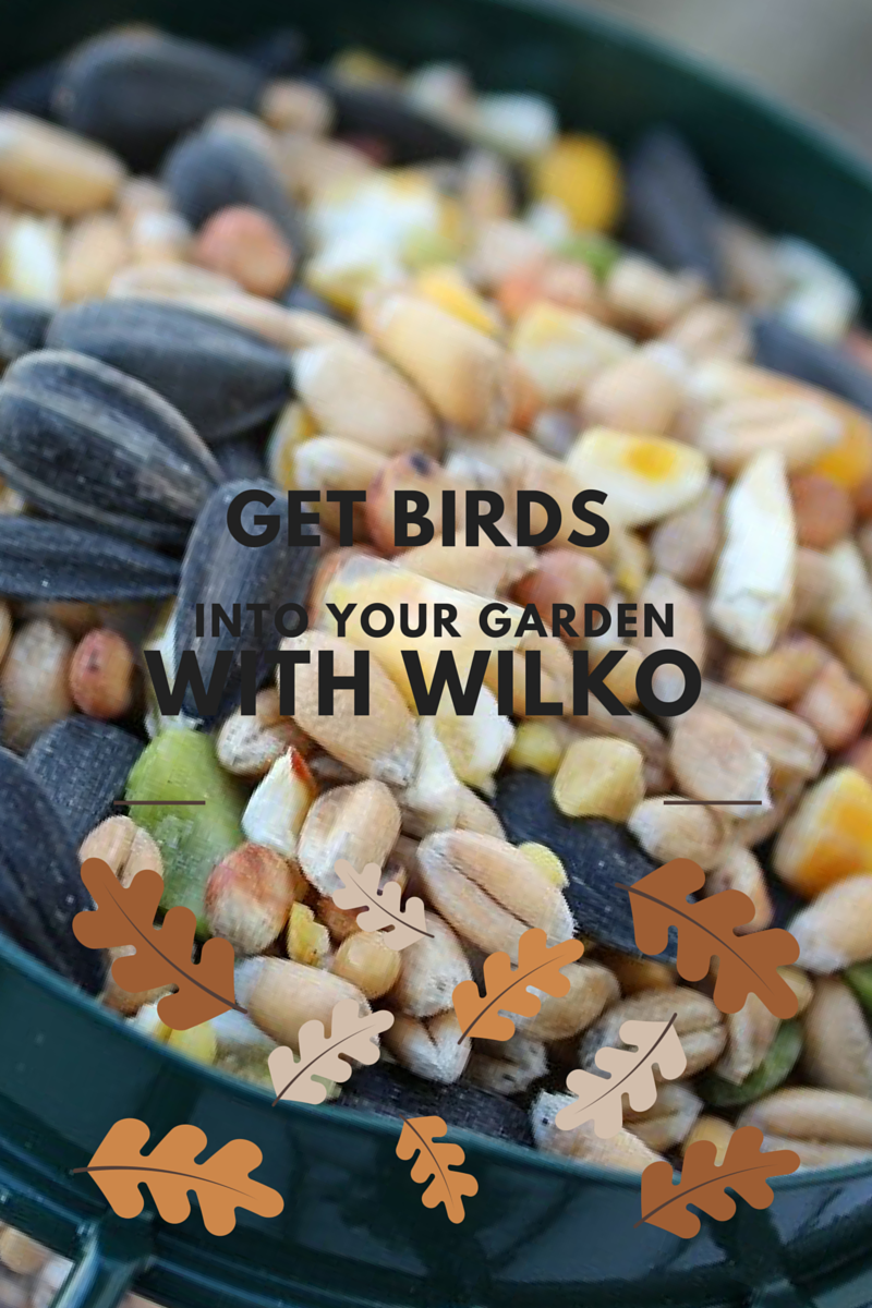 Get Wild Birds Into Your Garden With Wilko