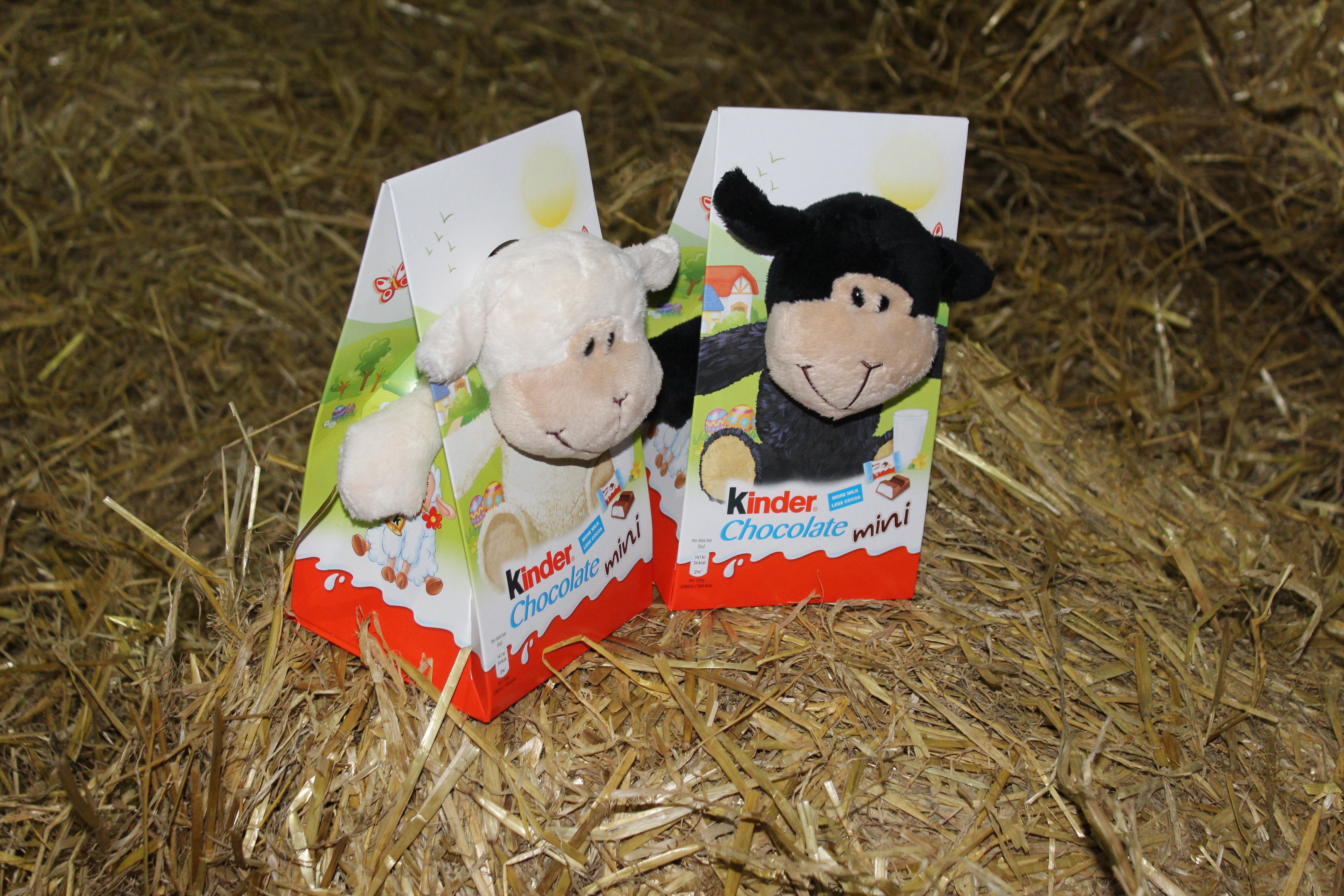Farm Themed Easter Gifts for Children