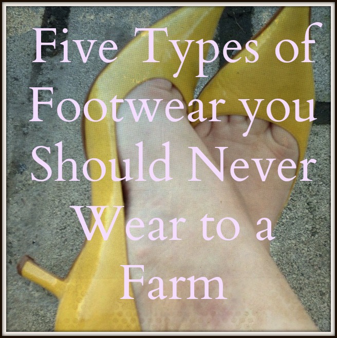 Five Types of Footwear You Should Never Wear to a Farm