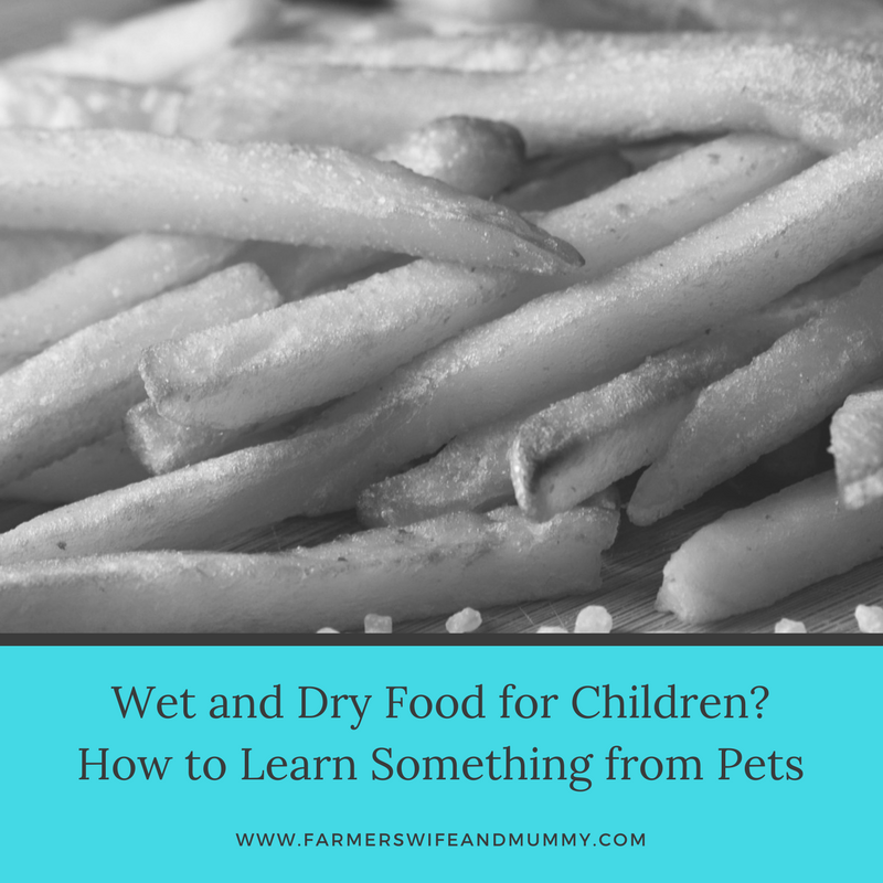 Wet and Dry Food For Children? How to Learn Something from Pets