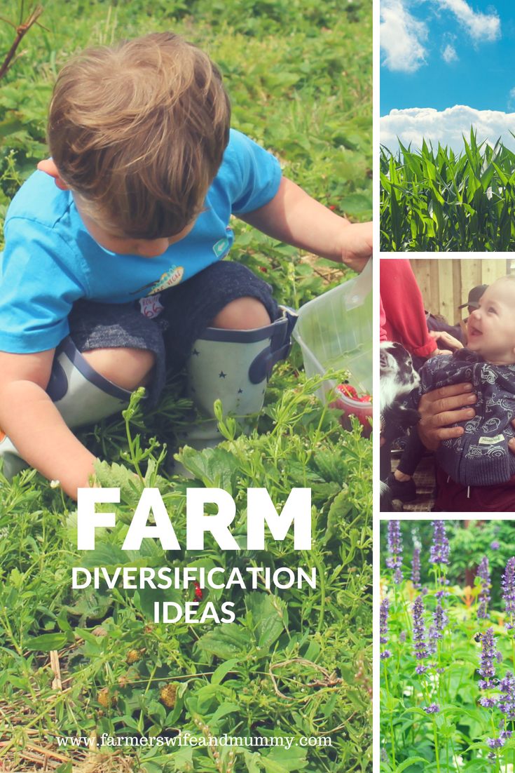 Farm Diversification Ideas