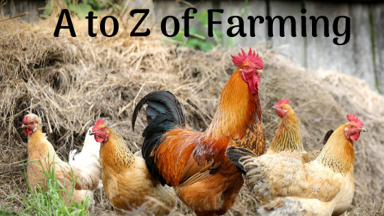 The A to Z of Farming