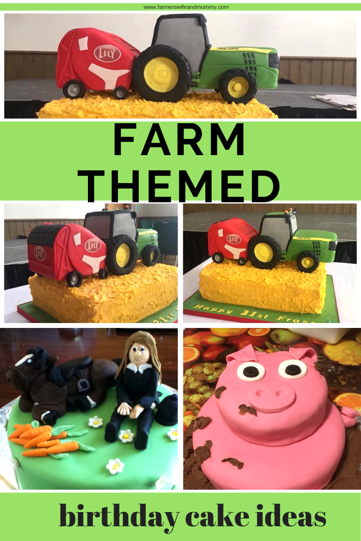 Farm Themed Birthday Cake Ideas