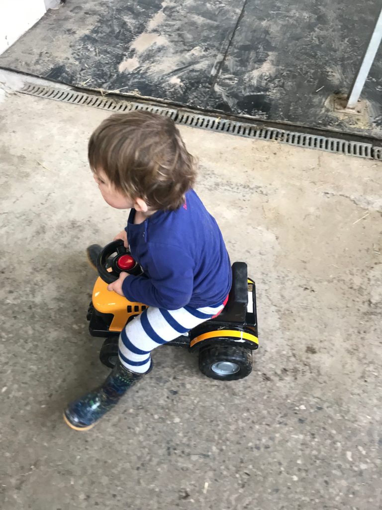 JCB Tractor Ride On Toy-A Review