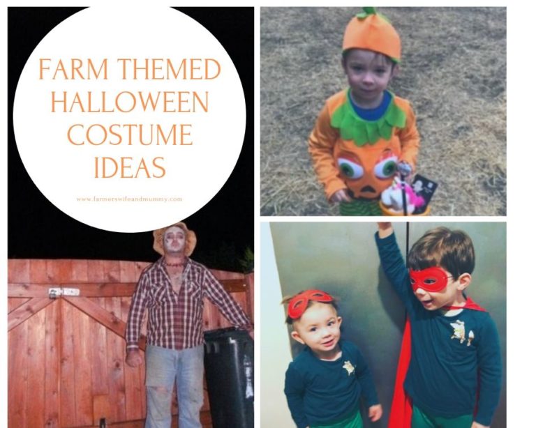 Farm Themed Halloween Costume Ideas