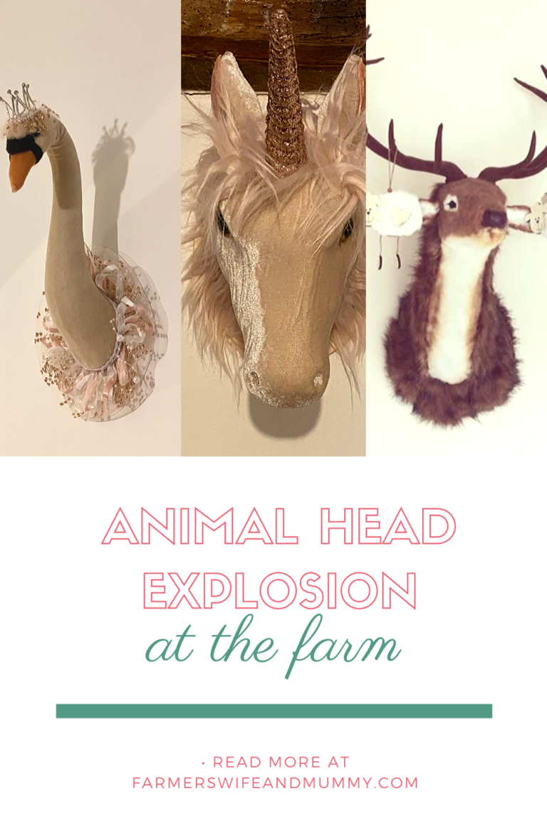 An Animal Head Explosion at the Farm