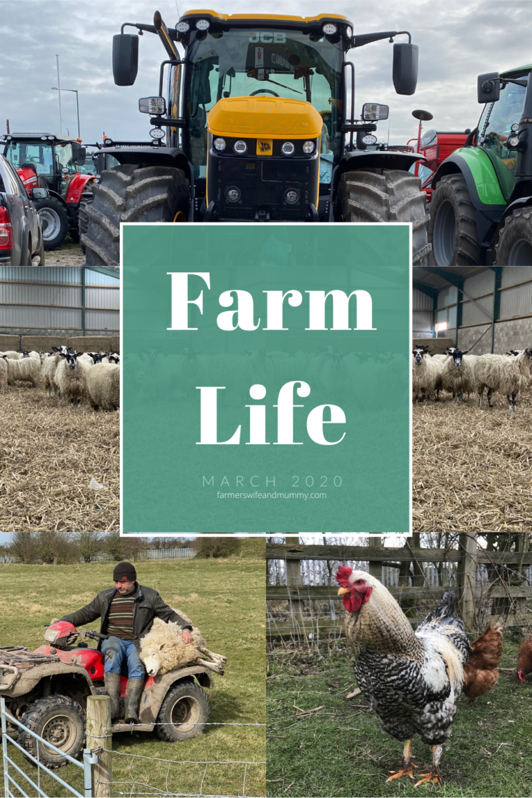 Farm Life, March 2020