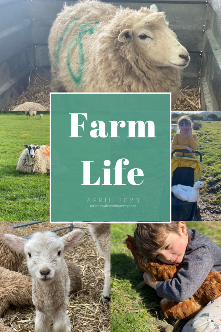 Farm Life, April 2020